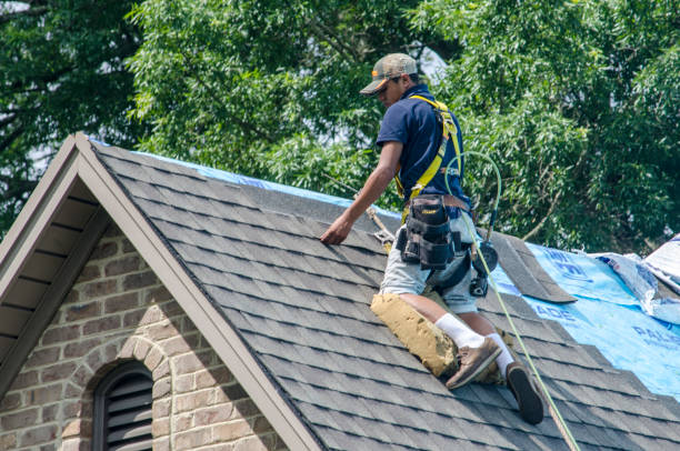 Quick and Trustworthy Emergency Roof Repair Services in Del Rio, TX
